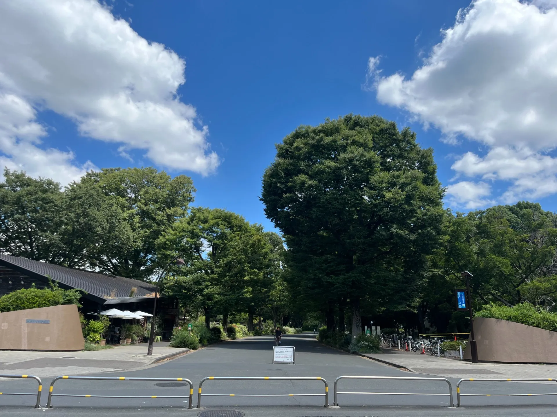 駒沢公園／現地から徒歩1分程度