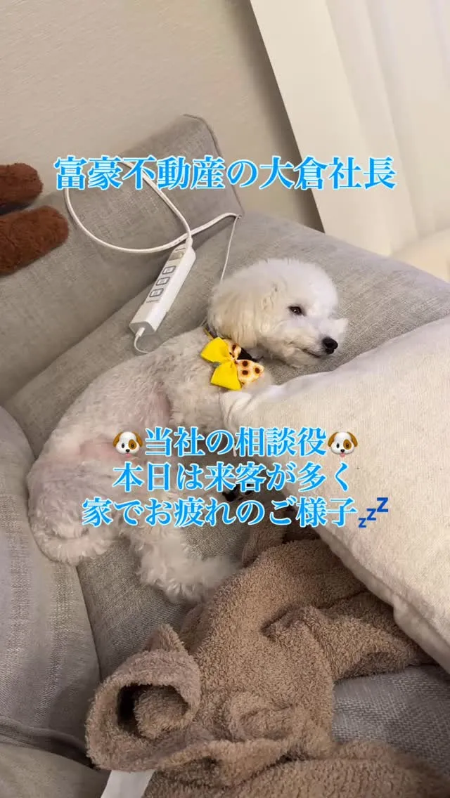 富豪不動産の大倉社長です。