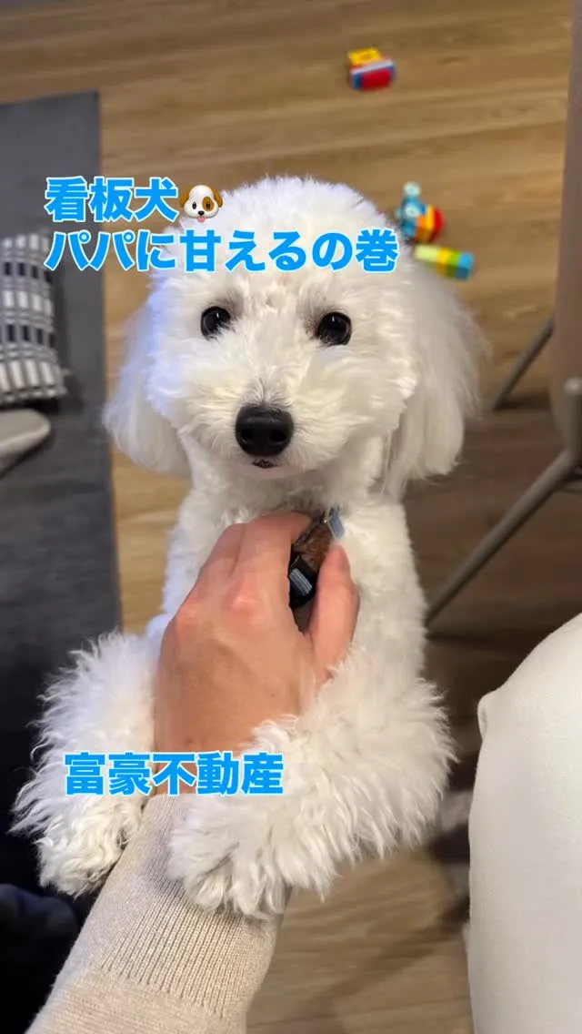 富豪不動産です。