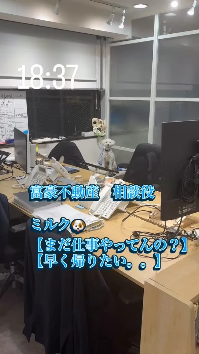 富豪不動産の大倉社長です。